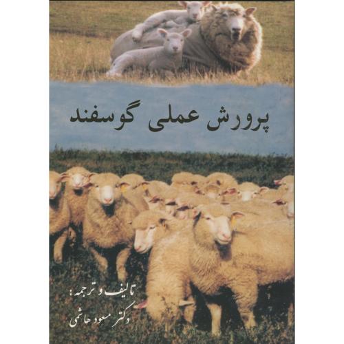 پرورش‏ عملی‏ گوسفند ،هاشمی‏ ، فرهنگ جامع