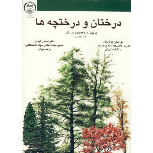 درختان و درختچه ها ، کهندل ،آیه تهران