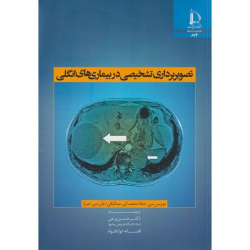 آموزش تصویری و ترفندهای PMWIN، احمدی ، کلک زرین