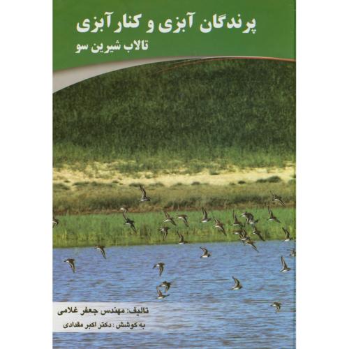 پرندگان آبزی و کنارآبزی تالاب شیرین سو،غلامی،نبی اکرم همدان