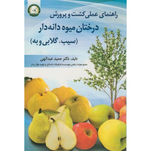 راهنمای عملی کشت و پرورش درختان میوه دانه دار(سیب،گلابی وبه)،عبدالهی،ترویج کشاورزی