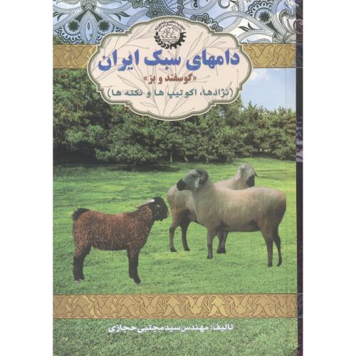 دامهای سبک ایران (گوسفندوبز) ، حجازی