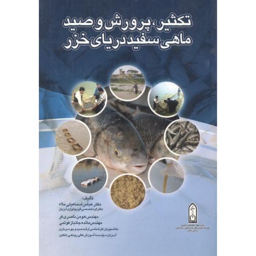 تکثیر ، پرورش و صید ماهی سفید دریای خزر ، ناصری فر
