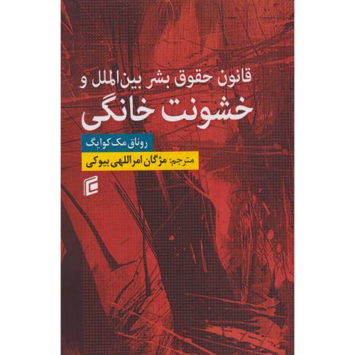 قانون حقوق بشر بین الملل و خشونت خانگی ، بیوکی ، جامعه شناسان