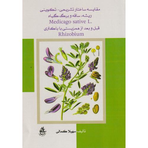 مقایسه ساختار تشریحی - تکوینی ریشه ، ساقه و برگ گیاه ، کمالی ، ابجد