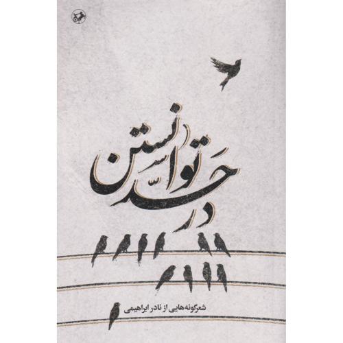 در حد توانستن ، ابراهیمی ، امیرکبیر