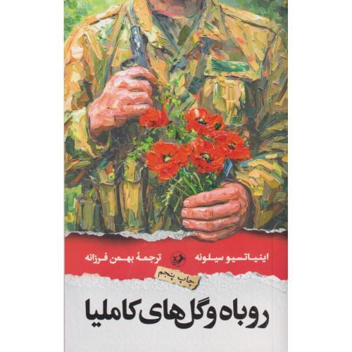 روباه و گل های کاملیا ، سیلونه ، فرزانه ، امیرکبیر