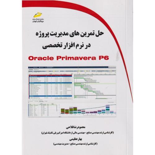 حل تمرین های مدیریت پروژه در نرم افزار تخصصی ، فلاحی ، دیباگران